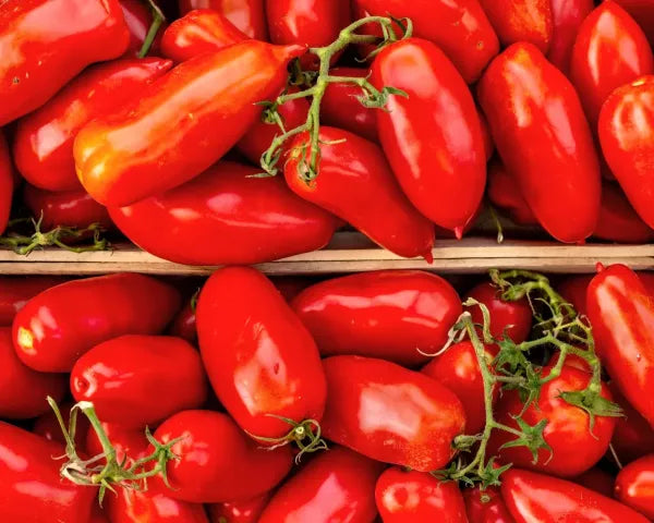 Tomates San Marzano DOP 400 G
