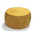 Meule Parmesan Plastique
